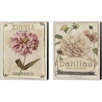 Framed Vintage Seed Packets 2 Piece Canvas Print Set