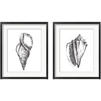 Framed 'Seashell Study 2 Piece Framed Art Print Set' border=