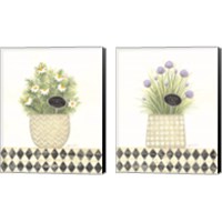Framed 'Herb 2 Piece Canvas Print Set' border=