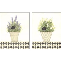 Framed 'Herb 2 Piece Art Print Set' border=