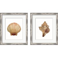 Framed Neutral Shell Collection 2 Piece Framed Art Print Set