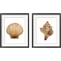 Framed 'Neutral Shell Collection 2 Piece Framed Art Print Set' border=