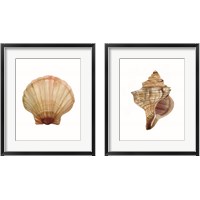 Framed Neutral Shell Collection 2 Piece Framed Art Print Set