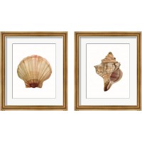 Framed 'Neutral Shell Collection 2 Piece Framed Art Print Set' border=