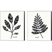 Framed 'Botanical Sketches 2 Piece Canvas Print Set' border=