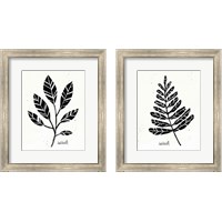 Framed Botanical Sketches 2 Piece Framed Art Print Set