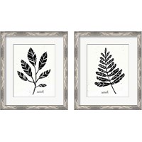 Framed Botanical Sketches 2 Piece Framed Art Print Set