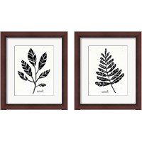 Framed 'Botanical Sketches 2 Piece Framed Art Print Set' border=