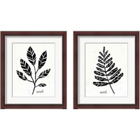 Framed Botanical Sketches 2 Piece Framed Art Print Set