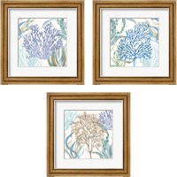 Framed 'Soft Shores 3 Piece Framed Art Print Set' border=