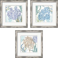 Framed 'Soft Shores 3 Piece Framed Art Print Set' border=