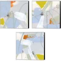 Framed 'Colorful Crop 3 Piece Canvas Print Set' border=
