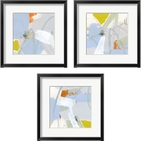 Framed 'Colorful Crop 3 Piece Framed Art Print Set' border=