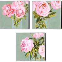 Framed 'Popping Peonies 3 Piece Canvas Print Set' border=