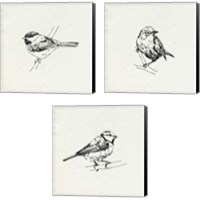 Framed 'Bird Feeder Friends 3 Piece Canvas Print Set' border=
