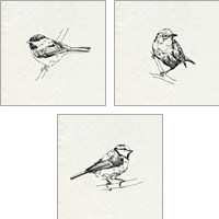 Framed 'Bird Feeder Friends 3 Piece Art Print Set' border=