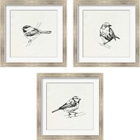 Framed Bird Feeder Friends 3 Piece Framed Art Print Set