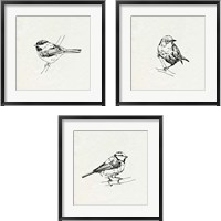 Framed 'Bird Feeder Friends 3 Piece Framed Art Print Set' border=