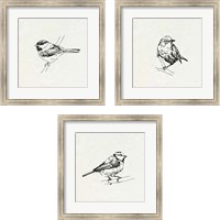 Framed Bird Feeder Friends 3 Piece Framed Art Print Set