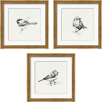 Framed 'Bird Feeder Friends 3 Piece Framed Art Print Set' border=