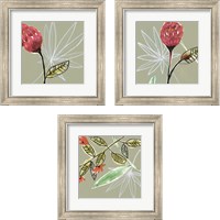 Framed 'Tropic Botanicals 3 Piece Framed Art Print Set' border=