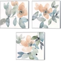 Framed 'Water and Petals 3 Piece Canvas Print Set' border=