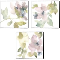 Framed 'Sweet Petals and Leaves 3 Piece Canvas Print Set' border=
