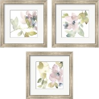 Framed 'Sweet Petals and Leaves 3 Piece Framed Art Print Set' border=