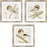 Framed 'Spring Passerine 3 Piece Framed Art Print Set' border=