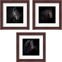 Framed Equine Portrait 3 Piece Framed Art Print Set