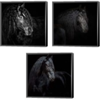 Framed 'Equine Portrait 3 Piece Canvas Print Set' border=