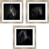 Framed 'Equine Portrait 3 Piece Framed Art Print Set' border=