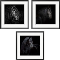 Framed Equine Portrait 3 Piece Framed Art Print Set
