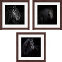Framed 'Equine Portrait 3 Piece Framed Art Print Set' border=