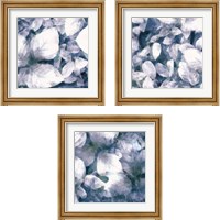 Framed 'Blue Shaded Leaves 3 Piece Framed Art Print Set' border=