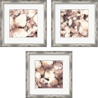 Framed 'Blush Shaded Leaves 3 Piece Framed Art Print Set' border=