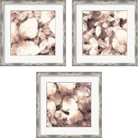Framed 'Blush Shaded Leaves 3 Piece Framed Art Print Set' border=