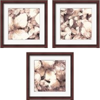 Framed 'Blush Shaded Leaves 3 Piece Framed Art Print Set' border=