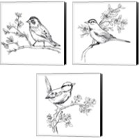 Framed 'Simple Songbird Sketches 3 Piece Canvas Print Set' border=