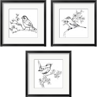 Framed 'Simple Songbird Sketches 3 Piece Framed Art Print Set' border=