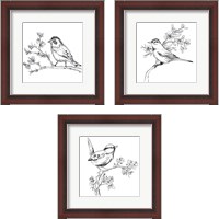 Framed 'Simple Songbird Sketches 3 Piece Framed Art Print Set' border=