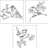Framed 'Simple Songbird Sketches 3 Piece Art Print Set' border=