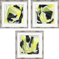 Framed 'Citron Jungle 3 Piece Framed Art Print Set' border=