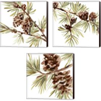 Framed 'Simple Pine Cone 3 Piece Canvas Print Set' border=