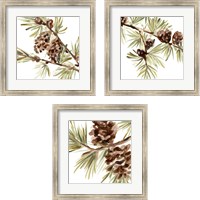 Framed 'Simple Pine Cone 3 Piece Framed Art Print Set' border=