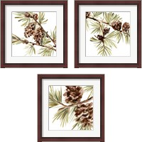 Framed 'Simple Pine Cone 3 Piece Framed Art Print Set' border=