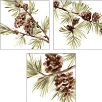 Framed 'Simple Pine Cone 3 Piece Art Print Set' border=
