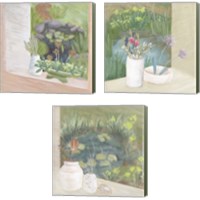 Framed 'Window Plants 3 Piece Canvas Print Set' border=