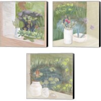 Framed Window Plants 3 Piece Canvas Print Set