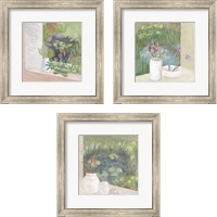 Framed Window Plants 3 Piece Framed Art Print Set